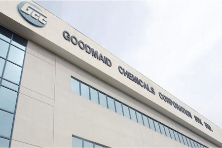 2014 - Придбання GOODMAID